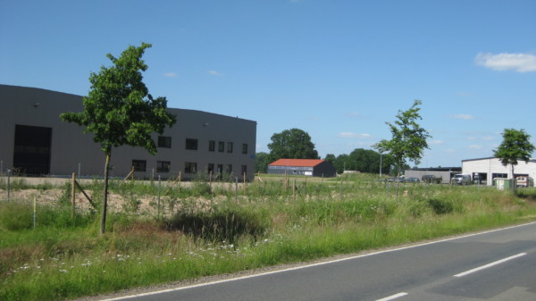 Hinter einer Straße stehen in unterschiedlicher Größe Gebäude und Hallen in einem Gewerbegebiet.